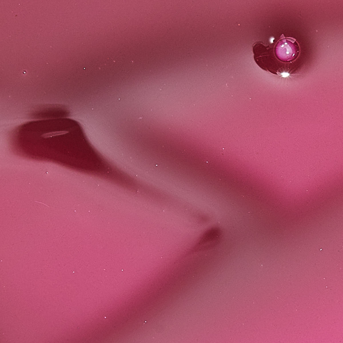 ULTRAMO Brillo Labial Hidratante con Sabor a Frutas V2305