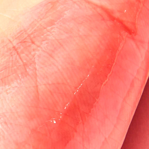 ULTRAMO Brillo Labial Encantador FL808